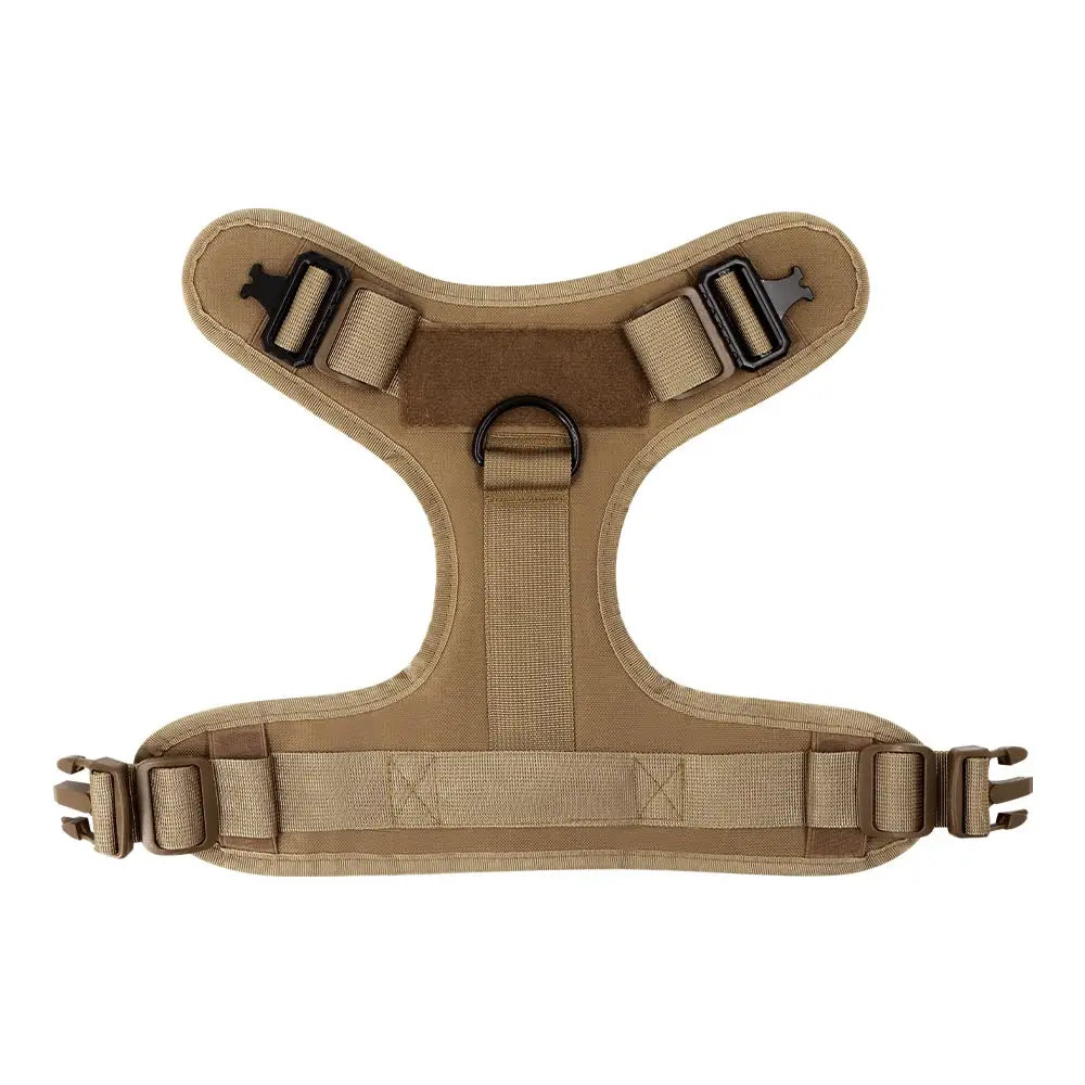 Large Dog Harness & Leash Set