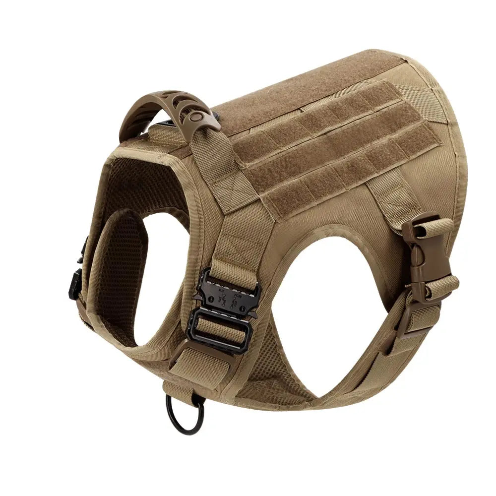 Large Dog Harness & Leash Set