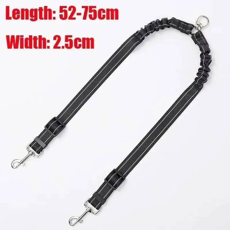 3M Double Dog Leash with LED