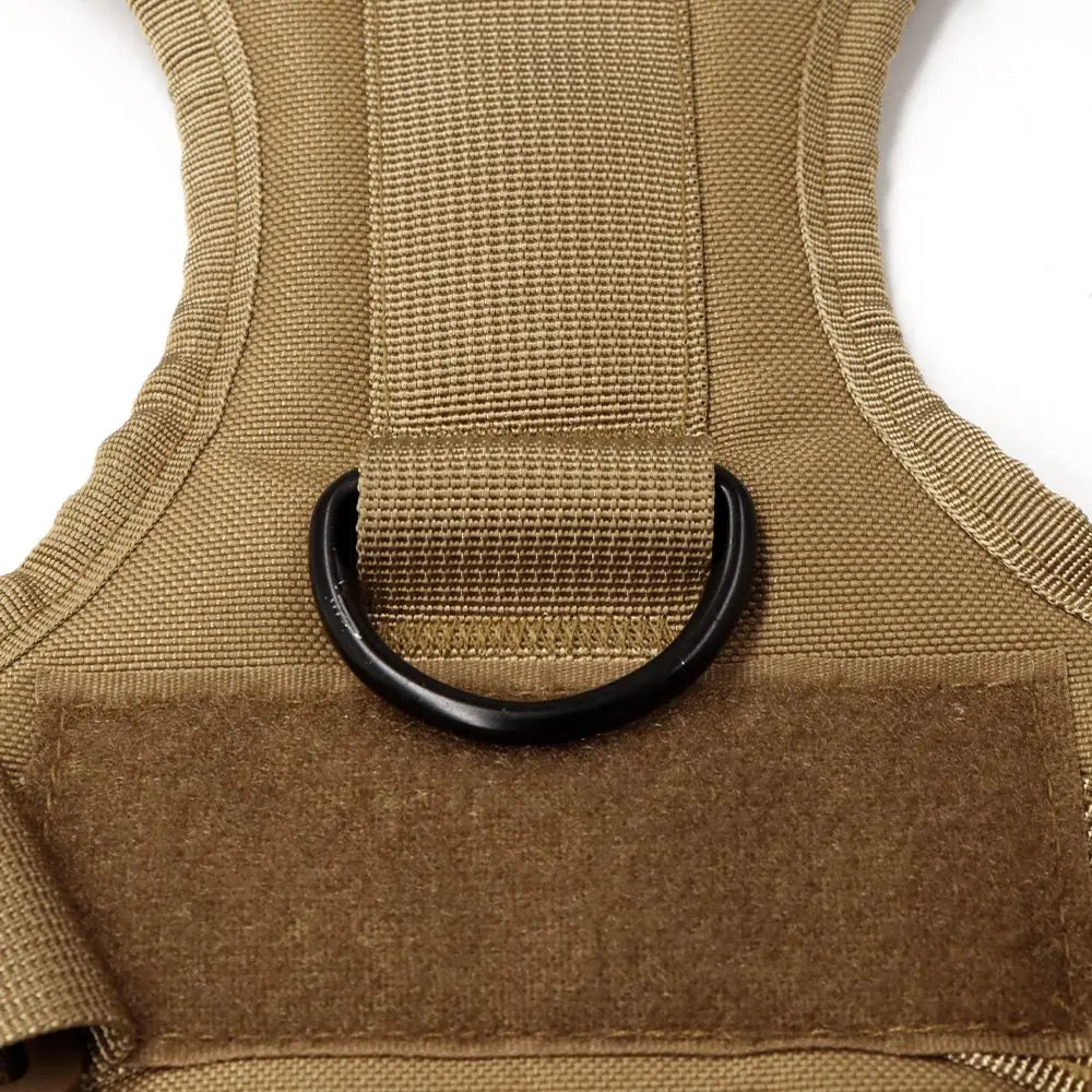 Large Dog Harness & Leash Set
