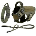 Large Dog Harness & Leash Set